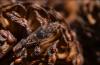 145884 – Photo : Andgelo Mombert – France (25)
