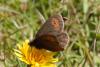 145000 – Photo : Benoit Nabholz – France (73)