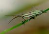 145644 – Photo : Magalie Mazuy – France (25)