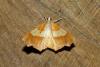 145070 – Photo : Michel Ehrhardt – France (68)