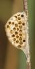 145860 – Photo : Christine DEVILLERS – Belgique