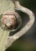 145661 – Photo : Pierre Bornand – Suisse
