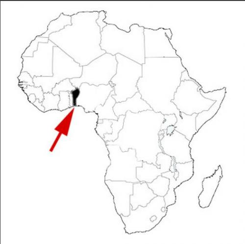 Carte sp.