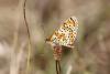 146749 – Photo : Thierry Madigou – Croatie