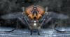 147345 – Photo : Thomas Roppenecker – Belgique