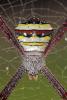 147414 – Photo : Liboupat – Thaïlande