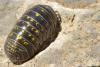 147510 – Photo : P. Baud – Espagne