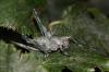 147310 – Photo : Duborget Robin – France (20)