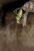 147316 – Photo : Duborget Robin – France (20)