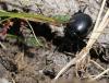 147630 – Photo : Duborget Robin – France (20)