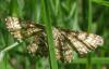 147229 – Photo : Axel Dehalleux – France (77)