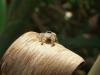 147753 – Photo : Bastien – France (44)