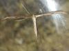 147094 – Photo : Guénael Hallart – France (02)