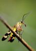 147583 – Photo : Pierre Chico-Sarro – France (36)