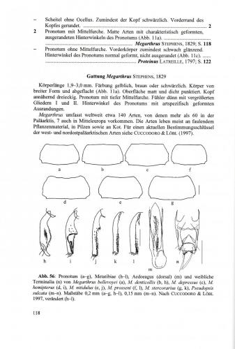 Indéterminé