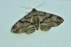 148004 – Photo : Pierre Chico-Sarro – France (69)