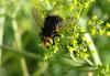148343 – Photo : Nicolas Alric – France (12)