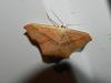 148113 – Photo : florent besson – France (18)
