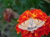 148213 – Photo : florent besson – France (18)