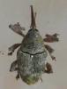 148241 – Photo : Guénael Hallart – France (02)