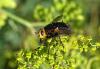 148325 – Photo : Nicolas Alric – France (12)