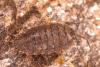 148101 – Photo : P. Baud – Espagne