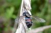 148561 – Photo : Patrick Le Mao – France (22)