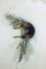 148878 – Photo : Edenis – France (78)