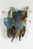 148879 – Photo : Edenis – France (78)