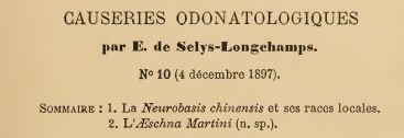 Selys sp.