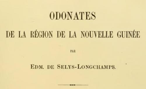 Réf. 149 345 : Selys sp.