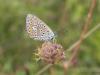 149358 – Photo : florent besson – France (18)