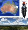 149828 – Photo : Anonyme – Australie