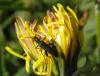 149039 – Photo : Maria Justamond – France (39)