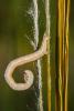 149786 – Photo : Daniel Ventard – France (05)