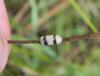 149986 – Photo : florent besson – France (18)