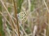 149493 – Photo : florent besson – France (18)