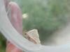 149454 – Photo : florent besson – France (18)