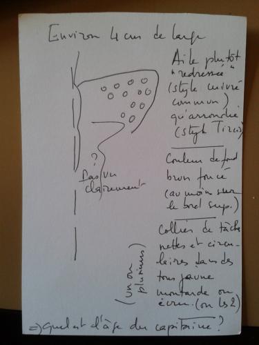 Indéterminé