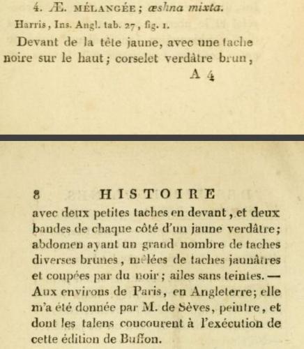 Indéterminé