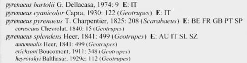 Catalogue coleoptera