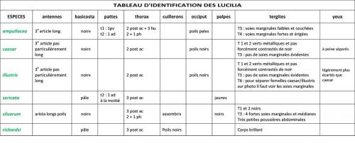 Lucilia divers