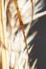 150572 – Photo : Pierre Duhem – France (77)