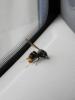 150374 – Photo : florent besson – France (18)