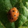 150801 – Photo : Sylvain Fadda – France (13)