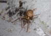 150913 – Photo : alain Roujas – France (31)