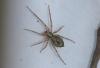 150795 – Photo : alain Roujas – France (31)