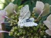 150144 – Photo : florent besson – France (18)