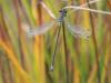 150677 – Photo : florent besson – France (18)