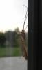 150690 – Photo : florent besson – France (18)